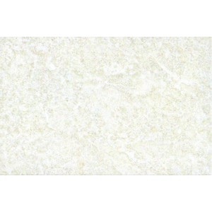 Gạch ốp tường Trường Thịnh NEW SWAN CASTLE G51010